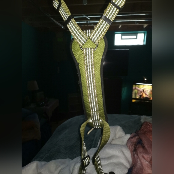 Way too small for my German shepherd - Picture 4 of 4